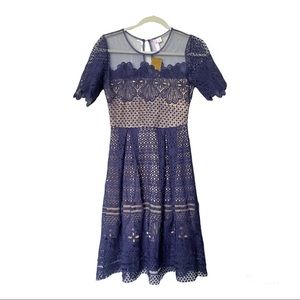 NWT Alya Francesca's Fit-n-Flare Mesh Lace Overlay Navy/Nude Dress Size XS